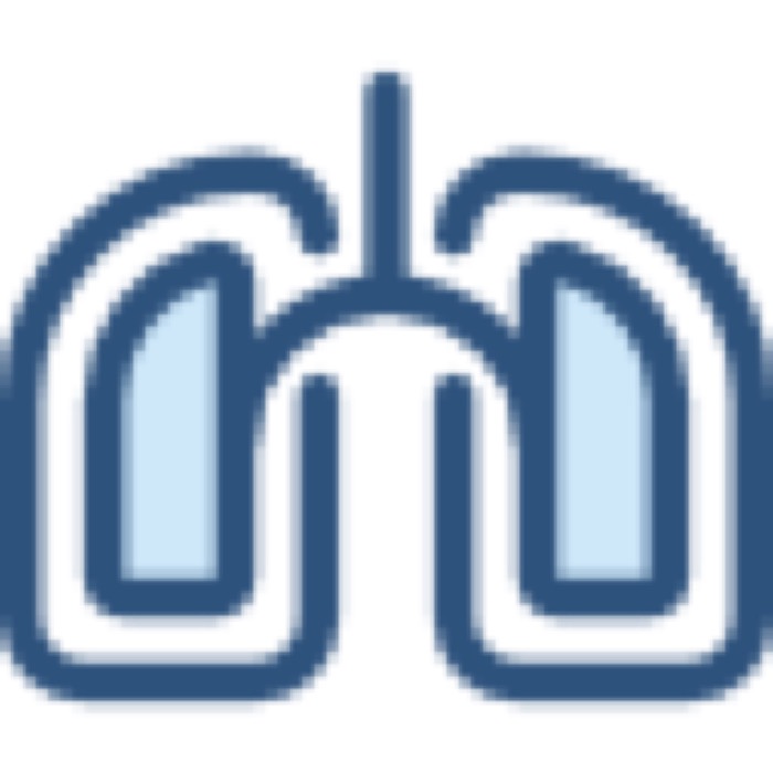 lungs